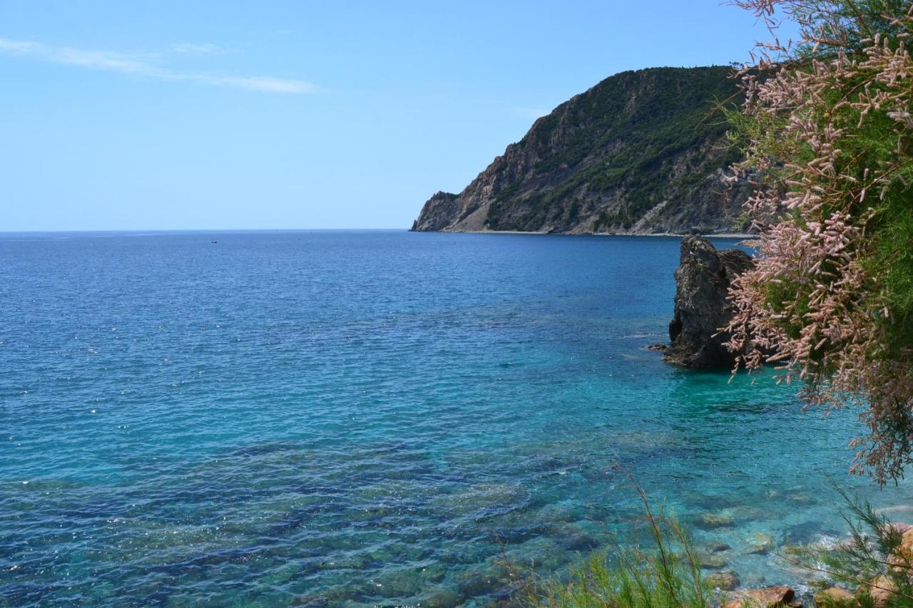 Tramonto Sul Mare Apartment Monterosso al Mare Ngoại thất bức ảnh